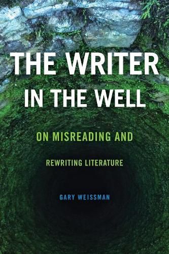 Cover image for The Writer in the Well: On Misreading and Rewriting Literature