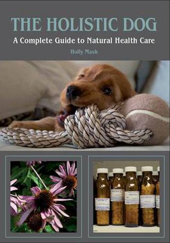 Cover image for The Holistic Dog: A Complete Guide to Natural Health Care