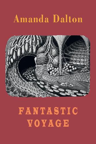 Cover image for Fantastic Voyage