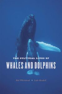 Cover image for The Cultural Lives of Whales and Dolphins