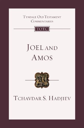 Joel and Amos: An Introduction And Commentary