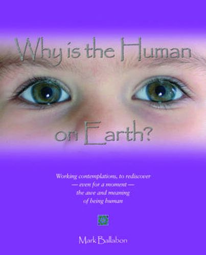 Cover image for Why is the Human on Earth?: Working Contemplations