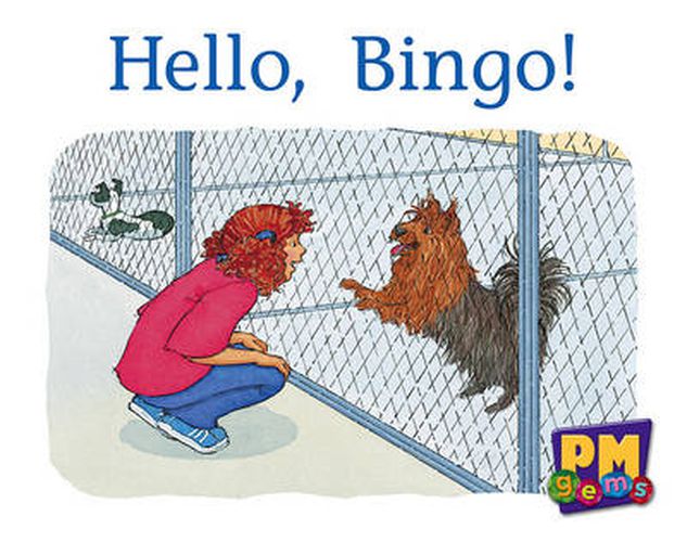 Hello, Bingo!