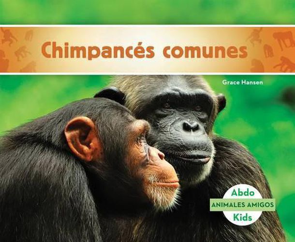 Cover image for Chimpances Comunes (Chimpanzees) (Spanish Version)