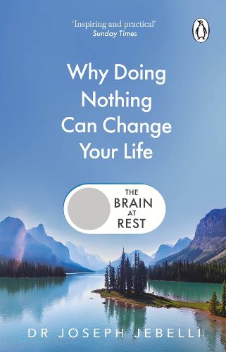 Cover image for The Brain at Rest