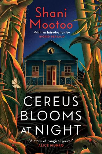 Cover image for Cereus Blooms at Night