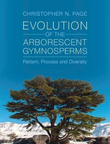 Cover image for Evolution of the Arborescent Gymnosperms 2 Volume Hardback Set