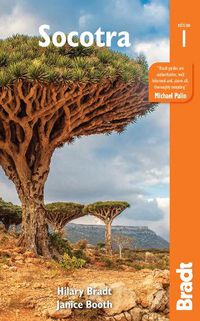 Cover image for Socotra