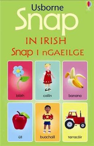 Cover image for Snap in Irish
