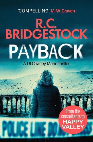 Cover image for Payback