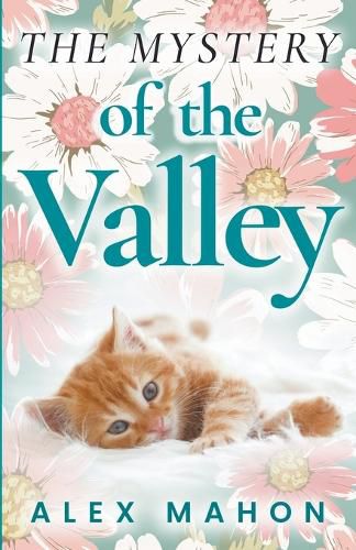 Cover image for The Mystery Of The Valley