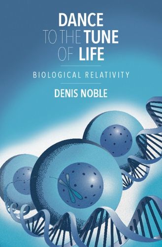 Cover image for Dance to the Tune of Life: Biological Relativity