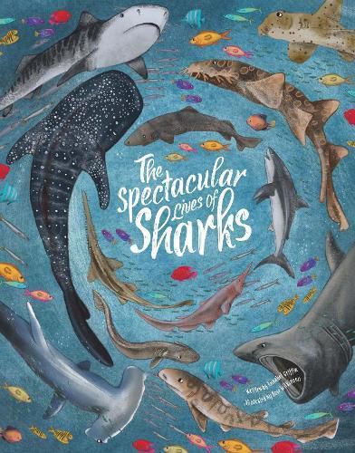 Cover image for Spectacular Lives of Sharks