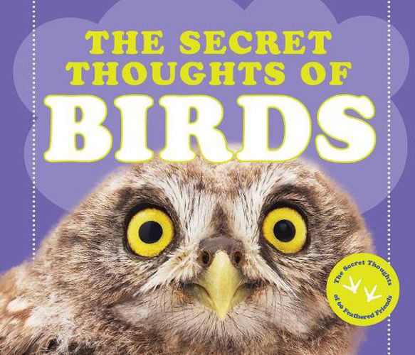 Cover image for The Secret Thoughts of Birds