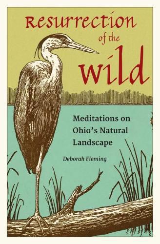 Cover image for Resurrection of the Wild: Meditations on Ohio's Natural Landscape