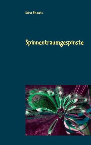 Cover image for Spinnentraumgespinste: Spinnentraume, Spinnenbegegnungen und Metamorphosen