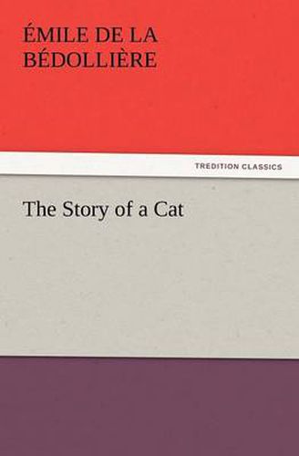 Cover image for The Story of a Cat