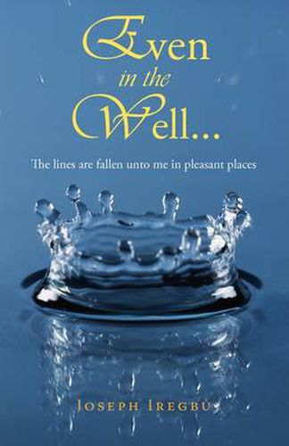Cover image for Even in the Well...