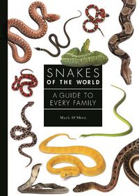 Cover image for Snakes of the World: A Guide to Every Family