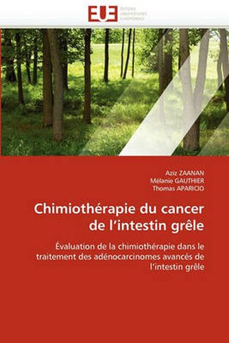 Cover image for Chimiotherapie Du Cancer de L'Intestin Grele