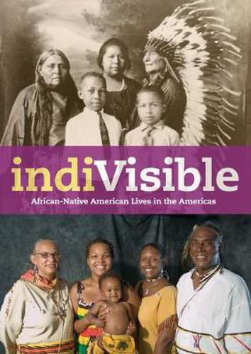 Cover image for IndiVisible: African-Native American Lives in the Americas