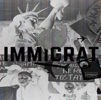 Cover image for Immigration