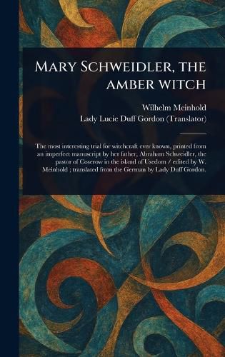 Cover image for Mary Schweidler, the Amber Witch