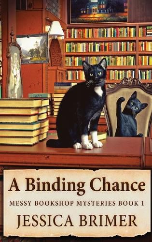 Cover image for A Binding Chance