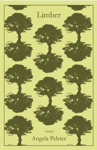 Cover image for Limber