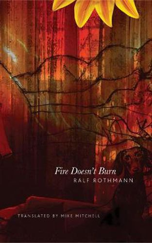 Cover image for Fire Doesn't Burn