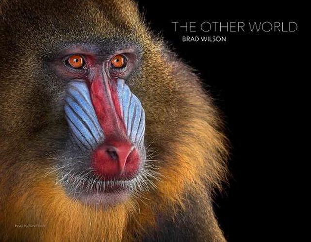 Cover image for The Other World: Animal Portraits
