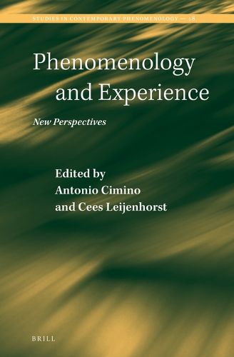 Cover image for Phenomenology and Experience: New Perspectives