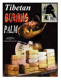 Cover image for Tibetan Burning Palm