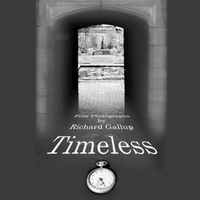 Cover image for Timeless