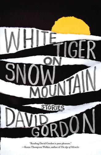 White Tiger on Snow Mountain: Stories