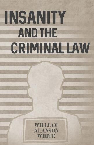 Cover image for Insanity and the Criminal Law