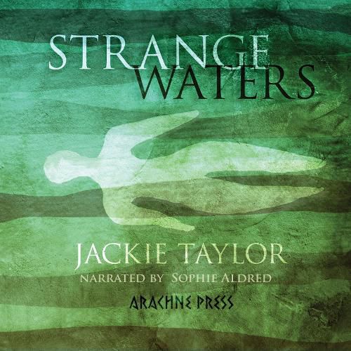 Cover image for Strange Waters