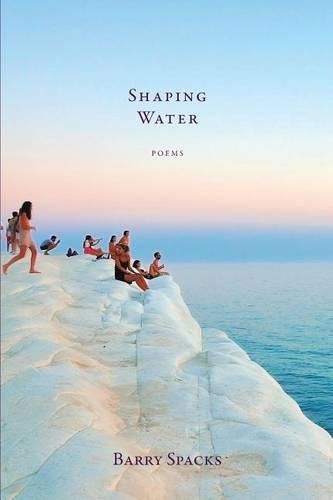 Cover image for Shaping Water