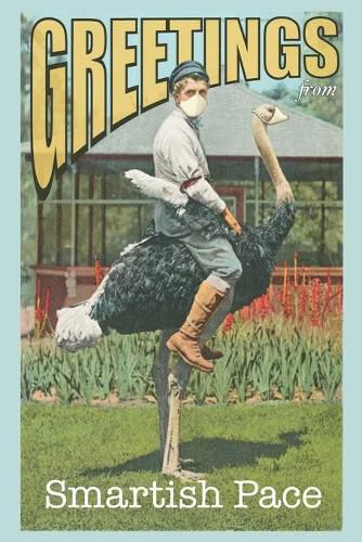 Cover image for Smartish Pace: Issue 28