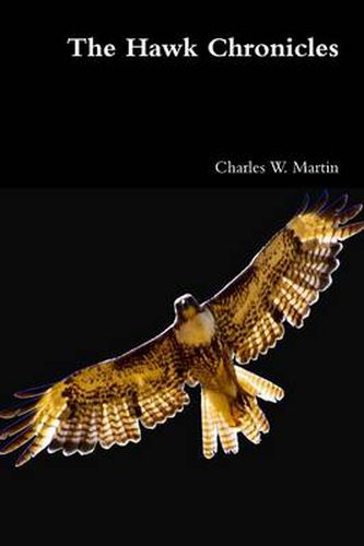 Cover image for The Hawk Chronicles