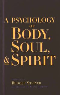 Cover image for A Psychology of Body, Soul and Spirit