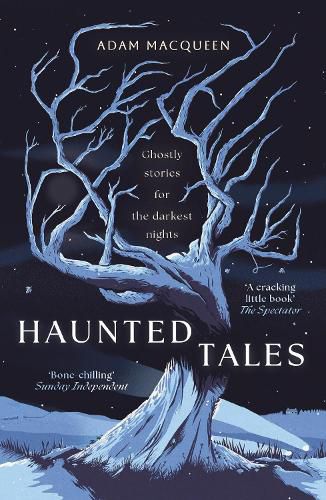 Cover image for Haunted Tales
