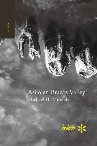 Cover image for Asilo en Brazos Valley