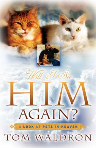 Cover image for Will I See Him Again? A Look At Pets In Heaven