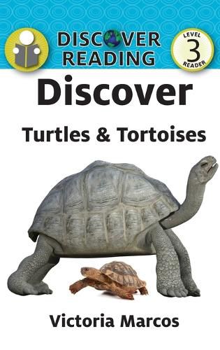 Cover image for Discover Turtles & Tortoises