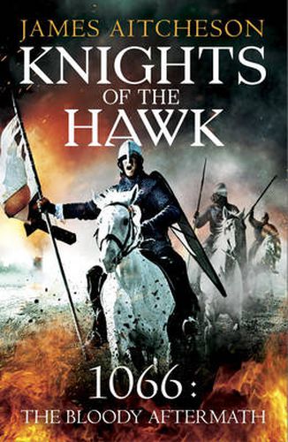 Cover image for Knights of the Hawk