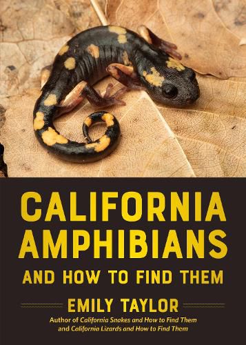 Cover image for California Amphibians and How to Find Them