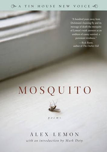 Cover image for Mosquito
