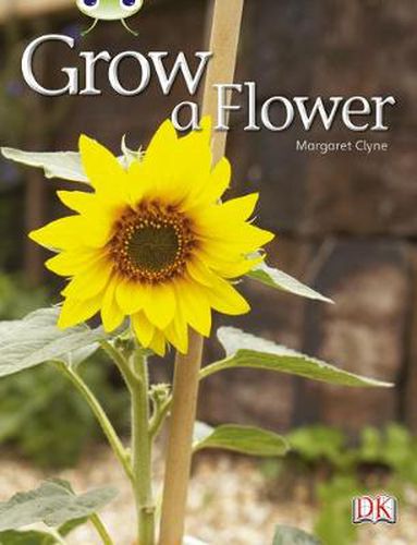 Cover image for Bug Club Independent Non Fiction Reception Red C Grow a Flower