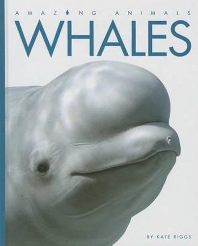 Cover image for Whales